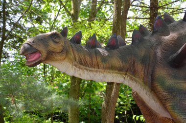 Granby QUEBEC CANADA - 05: 05 17: Tuojiangosaurus Tuo Nehri kertenkelesi, Yukarı Shaximiao Formasyonu Sichuan Preriod 'un Geç Jurasik Dönemi' nden kalma otobur bir Stegosaurian dinozor cinsidir.
