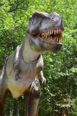 Granby QUEBEC CANADA - 05 12 2017: Tyrannosaurus büyük bir theropod dinozor cinsidir. Tyrannosaurus rex ya da T-Rex, en iyi temsil edilen teropodlardan biridir.