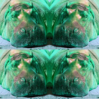 Su aygırı güneş banyosu işareti çiziyor. Renkli pop-art arkaplan simgesi