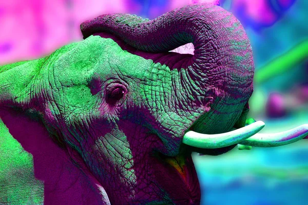 코끼리 아이콘 — 스톡 사진