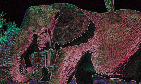 Поп Арт Икона Слона Цветовыми Пятнами — стоковое фото