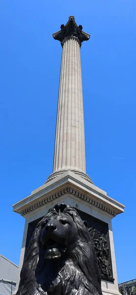 London Förenade Kungariket 2023 Statyn Amiral Nelson Som Sitter Ovanpå — Stockfoto