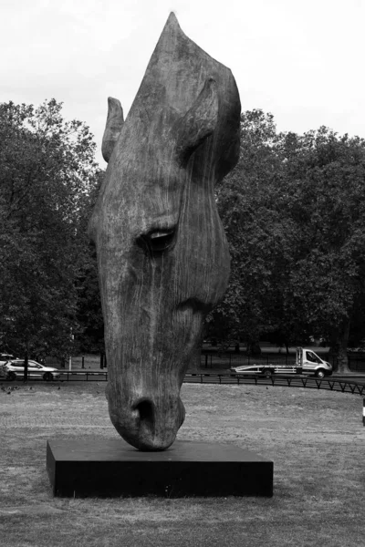 ロンドンイギリス 2023年6月19日 馬が飲んでいるかのように捉えられた巨大な馬の頭を彫刻した屋外のブロンズ彫刻であるスティルウォーターは 英国のアーティストNic Fiddian Greenによって彫刻されました — ストック写真