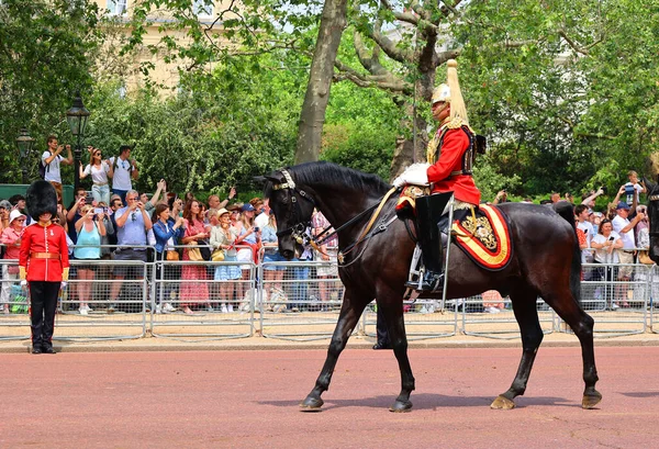 stock image LONDON UNITED KINGDOM - 06 17 2023: King guards at the Sovereign's birthday is officially celebrated by the ceremony of Trooping the Colour (King's Birthday Parade).