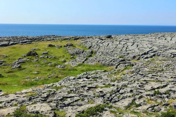 İrlanda 'nın Clare ilçesindeki Burren bölgesinin Doolin Limanı' ndaki buzul kıyı şeridinin panorama manzarası.