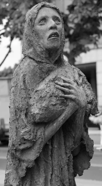 Dublino Repubblica Irlanda 2023 Memoriale Della Carestia Trova Sulla Dogana — Foto Stock