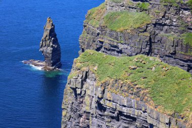 Moher Kayalıkları, İrlanda 'nın Clare ilçesinin Burren bölgesinin güneybatısında yer alan kayalıklardır..      