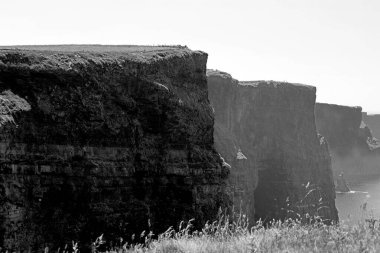 Moher Kayalıkları, İrlanda 'nın Clare ilçesinin Burren bölgesinin güneybatısında yer alan kayalıklardır..      