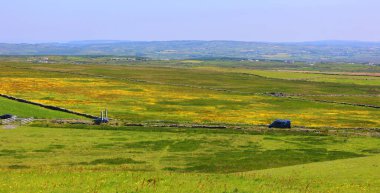 Engebeli kıyılar ve sarp kayalıklar, yeşil manzaralar ve sayısız göller, İrlanda