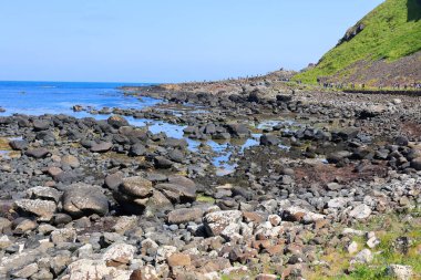 COUNTY ANTRIM 06 03 2023: Kuzey İrlanda 'nın kuzey kıyısındaki ünlü Giant' s Causeway, County Antrim, 