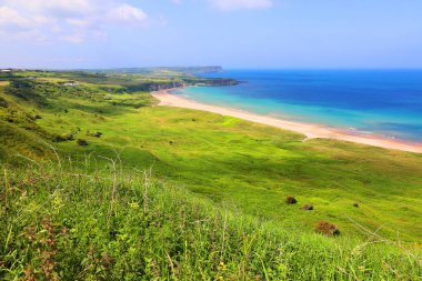 Ünlü Causeway Sahili 'nin manzarası   