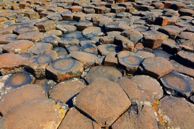 Dev Geçidi, yaklaşık 40.000 birbirine kenetlenmiş bazalt sütunun oluşturduğu bir alandır. Antik bir volkanik çatlağın sonucu olarak oluşmuş..     