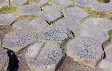 Dev Geçidi, yaklaşık 40.000 birbirine kenetlenmiş bazalt sütunun oluşturduğu bir alandır. Antik bir volkanik çatlağın sonucu olarak oluşmuş..     