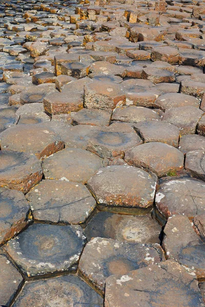 stock image Giant's Causeway is an area of about 40,000 interlocking basalt columns, the result of an ancient volcanic fissure eruption.     