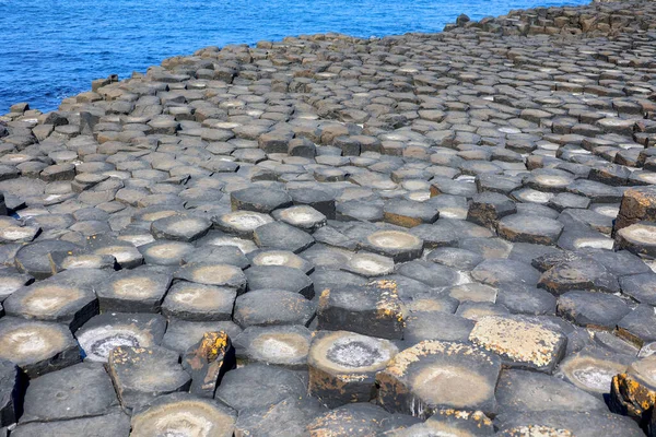 stock image Giant's Causeway is an area of about 40,000 interlocking basalt columns, the result of an ancient volcanic fissure eruption.     