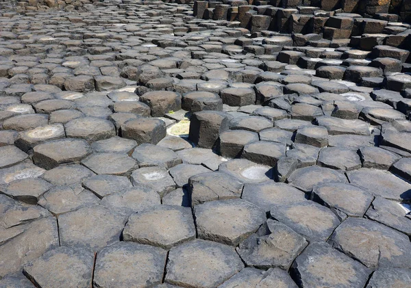 stock image Giant's Causeway is an area of about 40,000 interlocking basalt columns, the result of an ancient volcanic fissure eruption.     