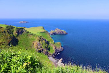 Carrick-a-Reed Adası manzaralı ip köprüsü, County Antrim, Kuzey İrlanda