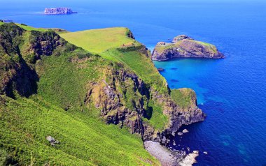 Carrick-a-Reed Adası manzaralı ip köprüsü, County Antrim, Kuzey İrlanda