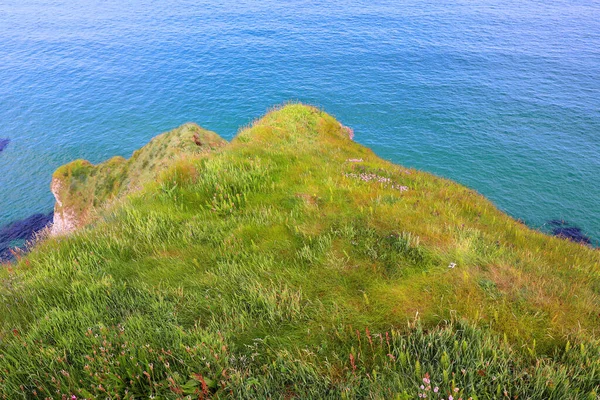 翠绿的青草和岩石在风景秀丽的海面之上 — 图库照片