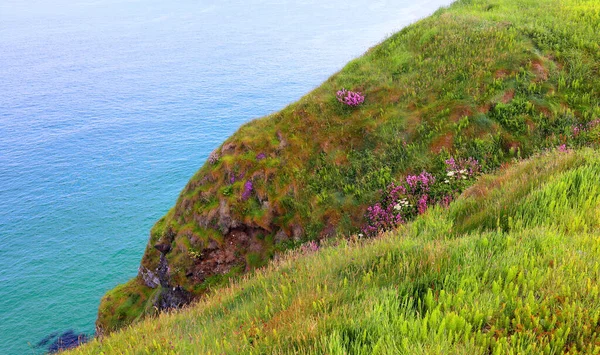 風光明媚な海の上の緑の草や岩 — ストック写真