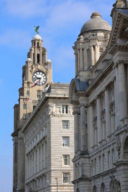 LiVERPOOL BİRLİK KINGDOM 06 07 2023: Royal Liver Building listelediğim bir binadır. Liverpool liman binası ve komşu Cunard binası ile birlikte Pier Head 'de yer alır.
