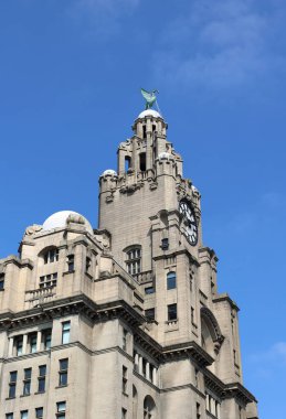 LiVERPOOL BİRLİK KINGDOM 06 07 2023: Royal Liver Building listelediğim bir binadır. Liverpool liman binası ve komşu Cunard binası ile birlikte Pier Head 'de yer alır.