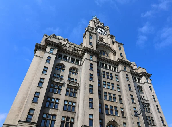 Liverpool United Kingdom 2023 Royal Liver Building Vernet Bygning Klasse – stockfoto
