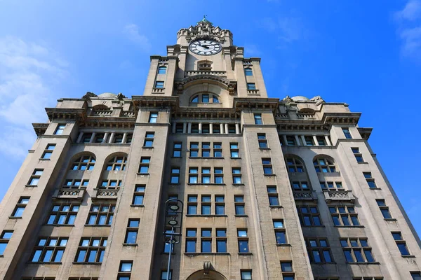 Liverpool United Kingdom 2023 Royal Liver Building Vernet Bygning Klasse – stockfoto