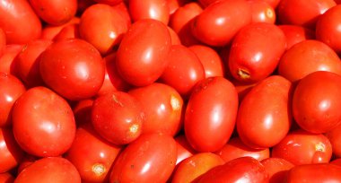 Markette taze domates