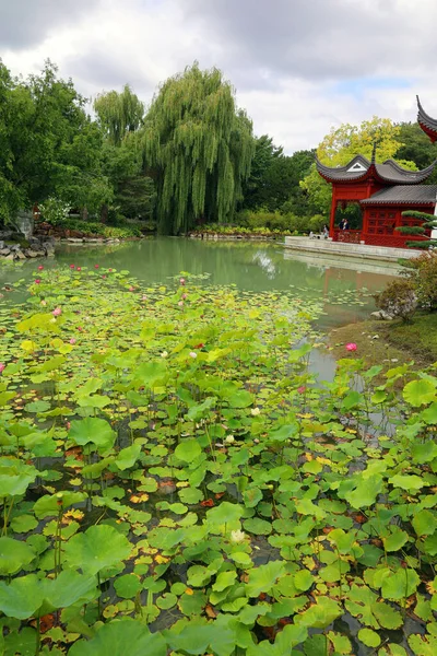 MONTREAL QUEBEC CANADA - 08 27 2020: Montreal Botanik Bahçeleri 'ndeki Çin Bahçesi bir araya gelecek ve geleneksel fenerlerin muhteşem bir gösterisi olacak, ve güneş battığında