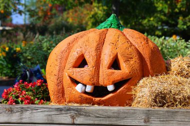 Büyük anne Canda 09: 24 2023: Cadılar Bayramı dönemi için komik balkabağı