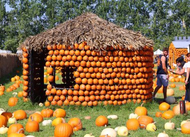 En orijinal balkabağı köyü CitrouilleVille