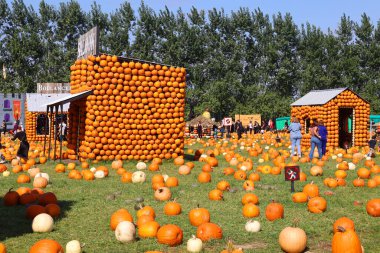 En orijinal balkabağı köyü CitrouilleVille