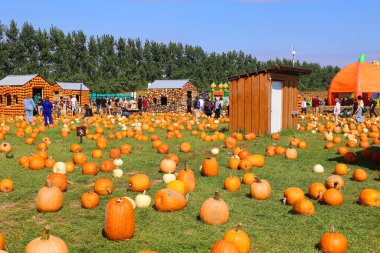 En orijinal balkabağı köyü CitrouilleVille