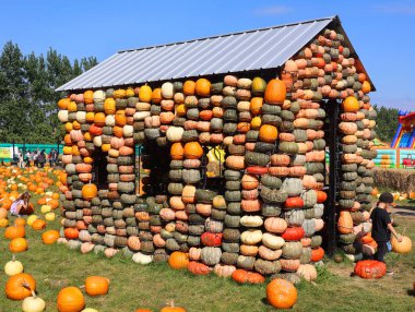 En orijinal balkabağı köyü CitrouilleVille