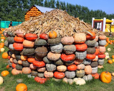 En orijinal balkabağı köyü CitrouilleVille