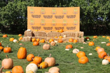 En orijinal balkabağı köyü CitrouilleVille 'deki serginin yakın görüntüsü