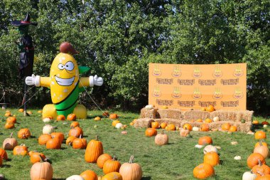 En orijinal balkabağı köyü CitrouilleVille 'deki serginin yakın görüntüsü