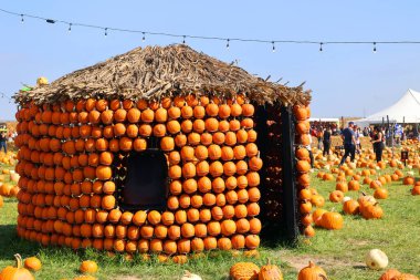 En orijinal balkabağı köyü CitrouilleVille