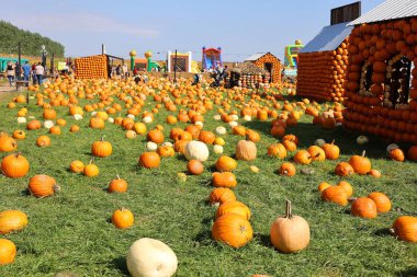 En orijinal balkabağı köyü CitrouilleVille