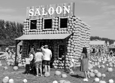 En orijinal balkabağı köyü CitrouilleVille