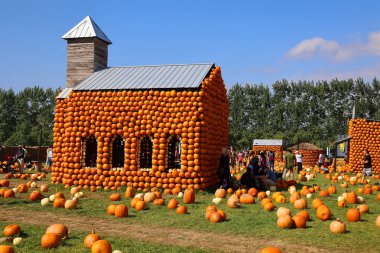 En orijinal balkabağı köyü CitrouilleVille