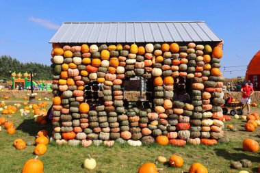 En orijinal balkabağı köyü CitrouilleVille