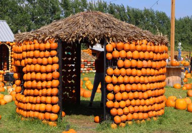 En orijinal balkabağı köyü CitrouilleVille