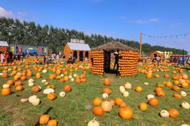 En orijinal balkabağı köyü CitrouilleVille