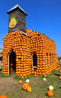 En orijinal balkabağı köyü CitrouilleVille