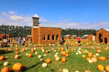 En orijinal balkabağı köyü CitrouilleVille