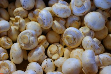 Beyaz mantarları kapatın.