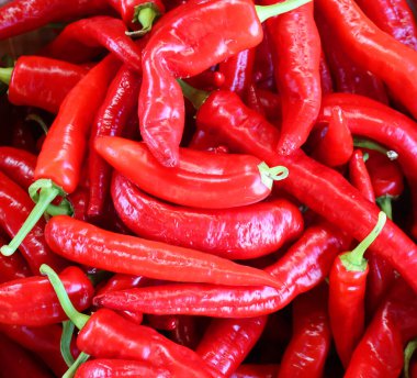 Kırmızı acı biber, Pimientos Choriceros, sıcak guindilla biberi   