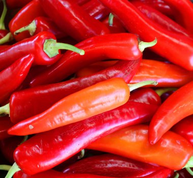 Kırmızı acı biber, Pimientos Choriceros, sıcak guindilla biberi   